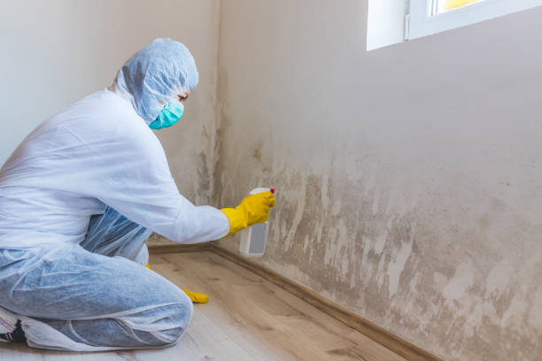 Mold Remediation specialist working in Swampscott